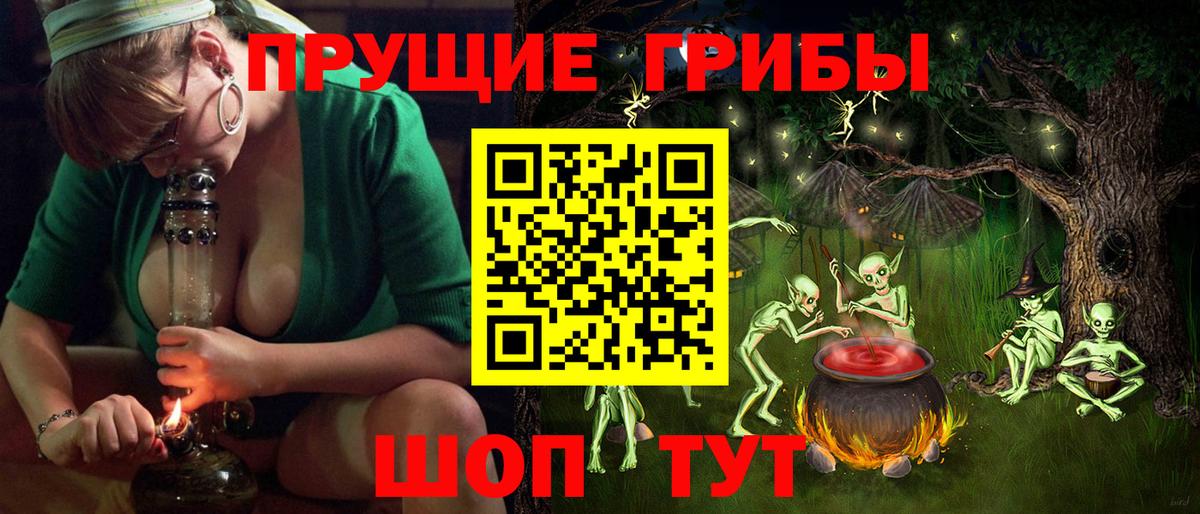 Смоленск  Псилоцибиновые грибы Psilocybe  Вход с VPN 