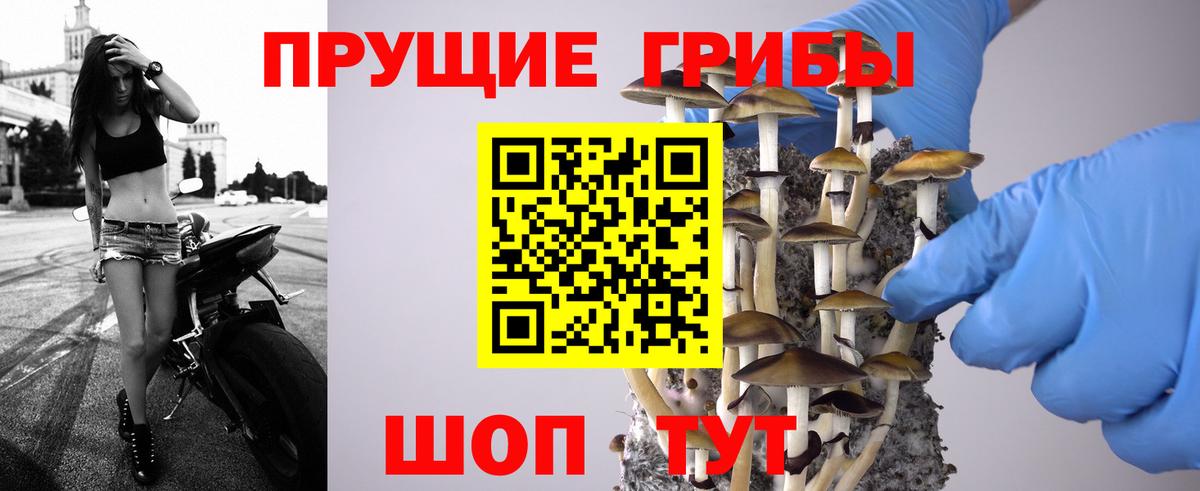Псилоцибиновые грибы Cubensis Смоленск
